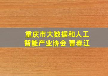 重庆市大数据和人工智能产业协会 曹春江